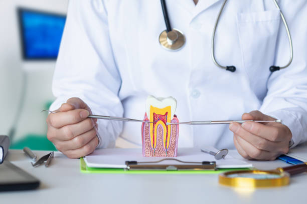 Best Broken or Cracked Tooth Emergency Dentist in Akron, OH